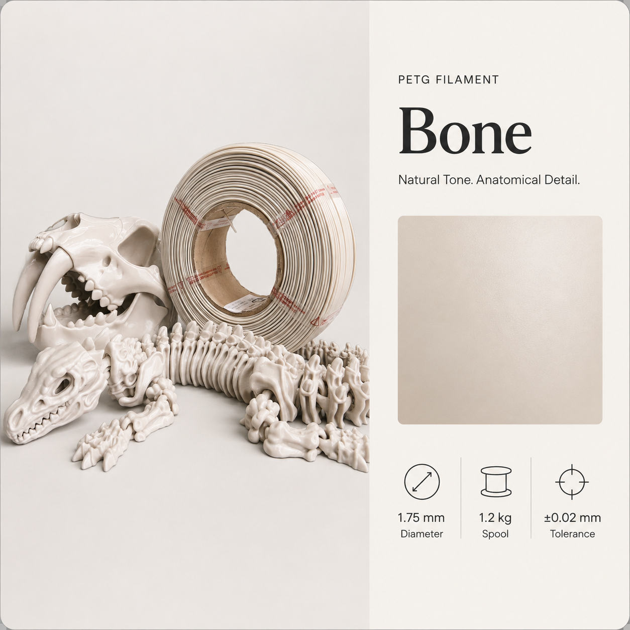 Bone_PETG_filament_with_skeletal_samples.png Everyday Essential PETG 3D Filament 1.75mm - Classic Finish (1KG) - Image 4